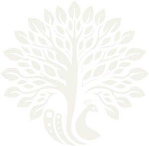 Stylised line drawing of a peackock with the tail turning into the tree of life